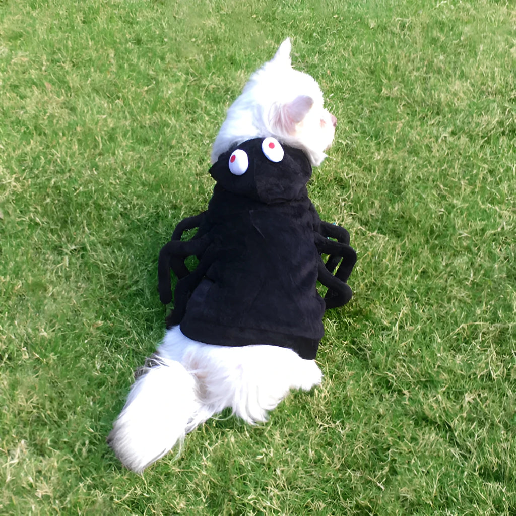 Dog wearing Halloween spider costume in polyester fabric with arachnid pattern design