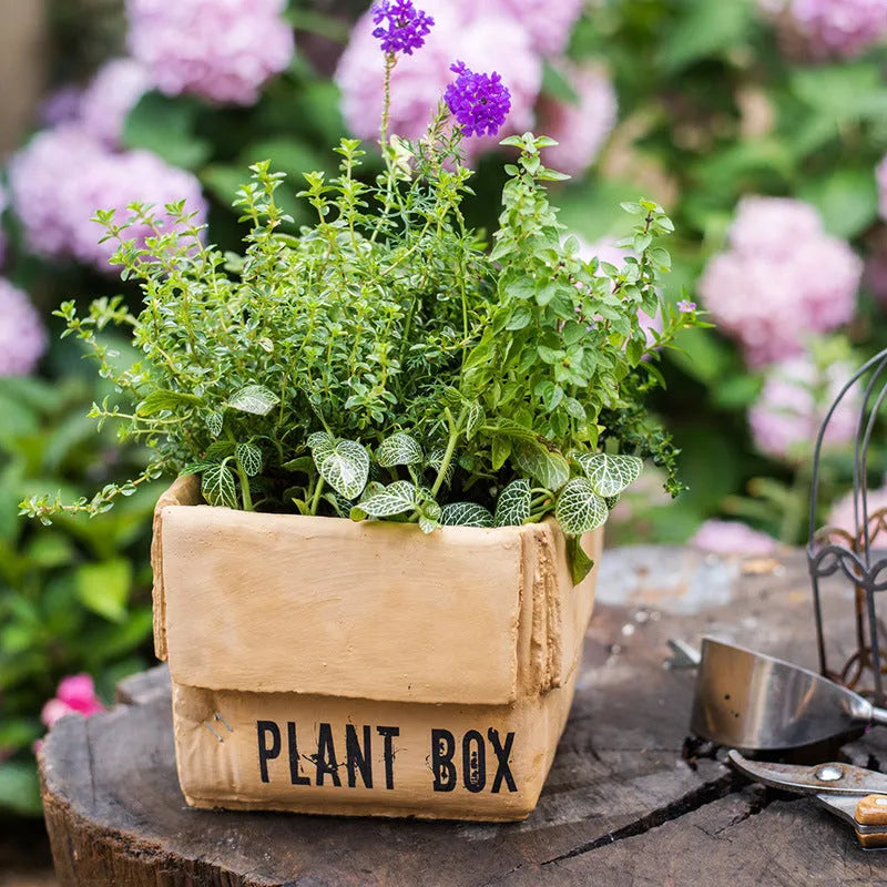 Cement paper box style flowerpot with bottom drainage holes for indoor planting