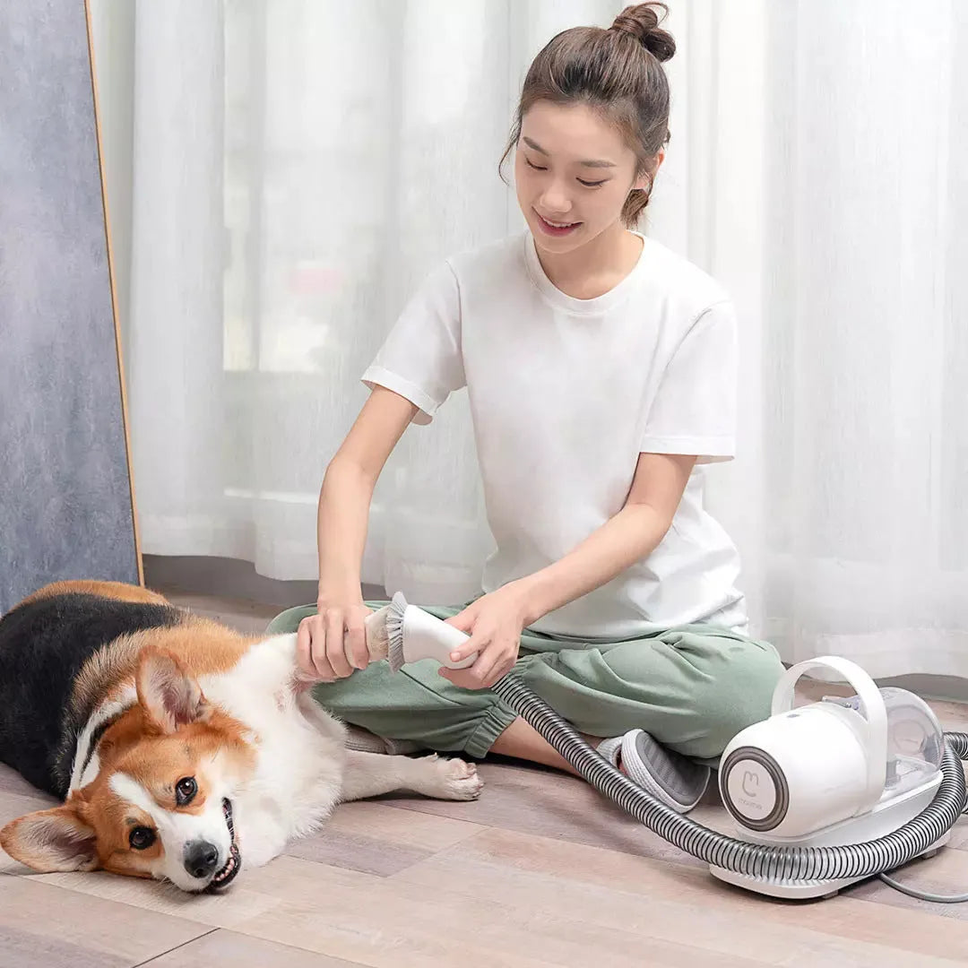 White pet grooming clippers set with electric scissors and five grooming attachments on table