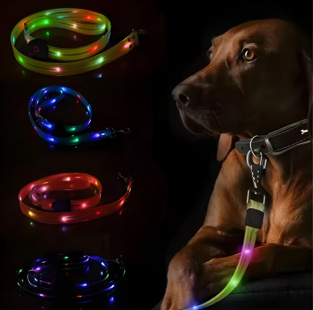 PVC luminous dog leash in orange, black, green, or blue, showing 120cm length.