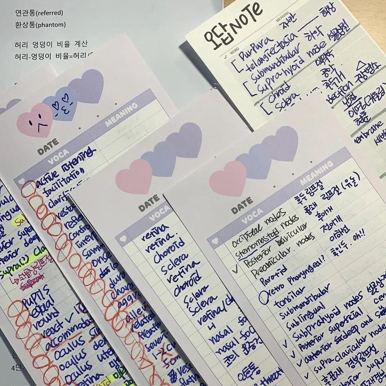 B5 half-size notepad with vertical English words printing in pink, purple, and blue cover colours.