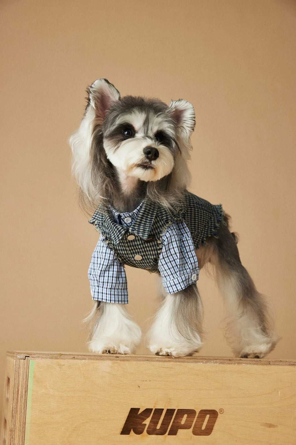 Blue washed old plaid sleeveless denim dog vest in cotton, casual unisex pet clothing, sizes XS to XXL