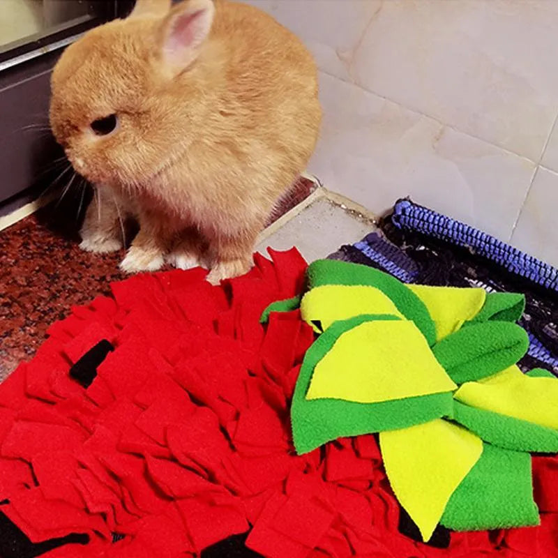 Red and green strawberry-shaped pet sniffing mat for slow feeding dogs and cats