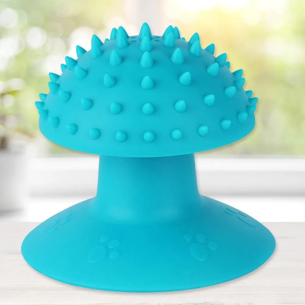 Wall-mounted cat self groomer in blue with brush head and catnip compartment for loose fur removal