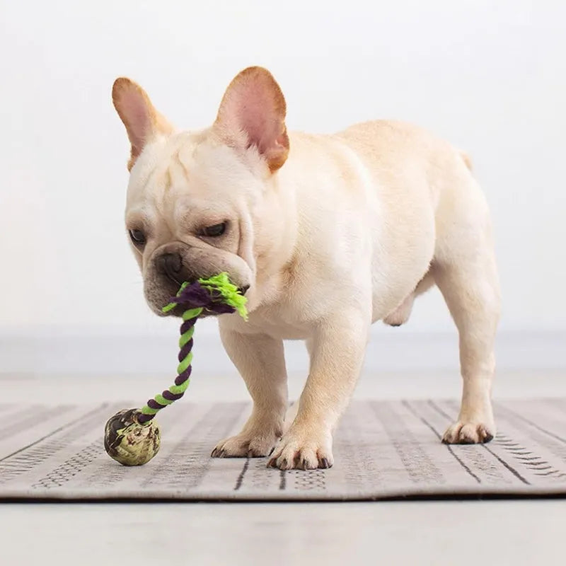 Ball knot dog toy with rubber ball and long rope for tug-of-war, available in Big and Small sizes.