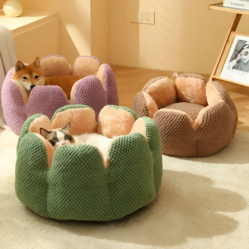 Green cactus petal-shaped soft plush pet bed for cat or dog on a hardwood floor.