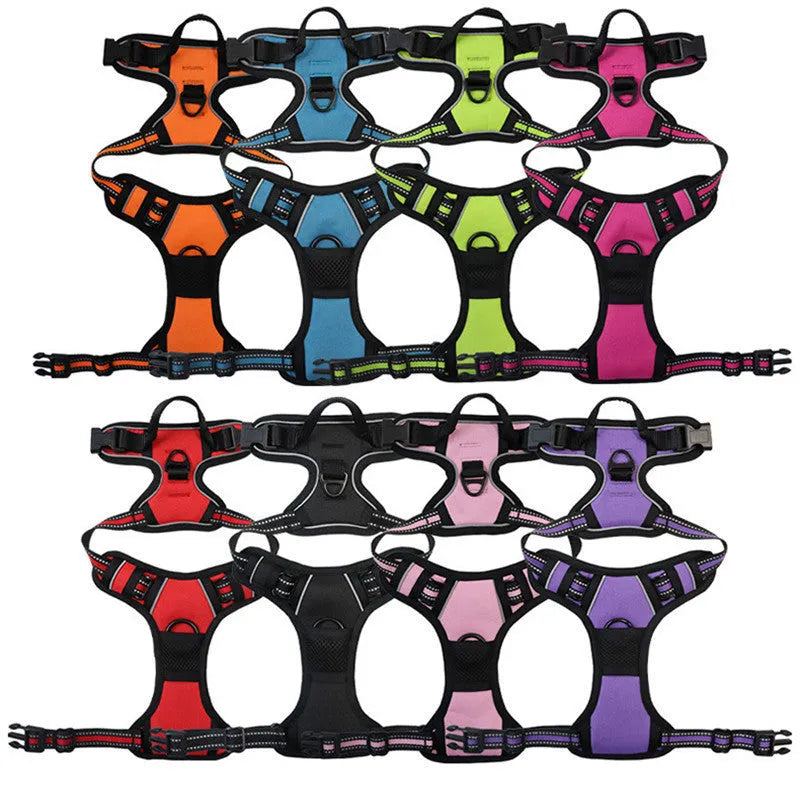 Nylon dog rope chest and back lead in ten colours with 1.5 m round rope option and sizes S M L XL