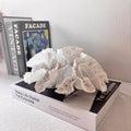 Off-white synthetic resin and plastic coral ornament for modern European-style geometry home decor