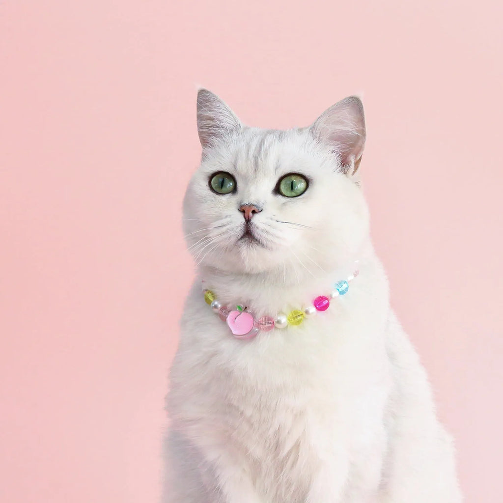 Colourful plastic pearl pet necklace with flower charm in rainbow, peach or small flower patterns